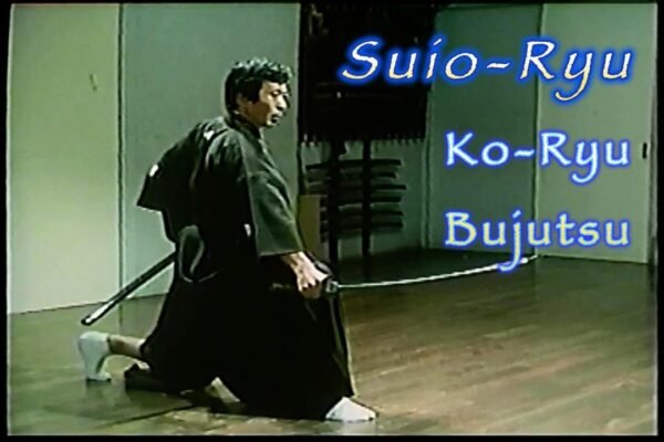 suio ryu style