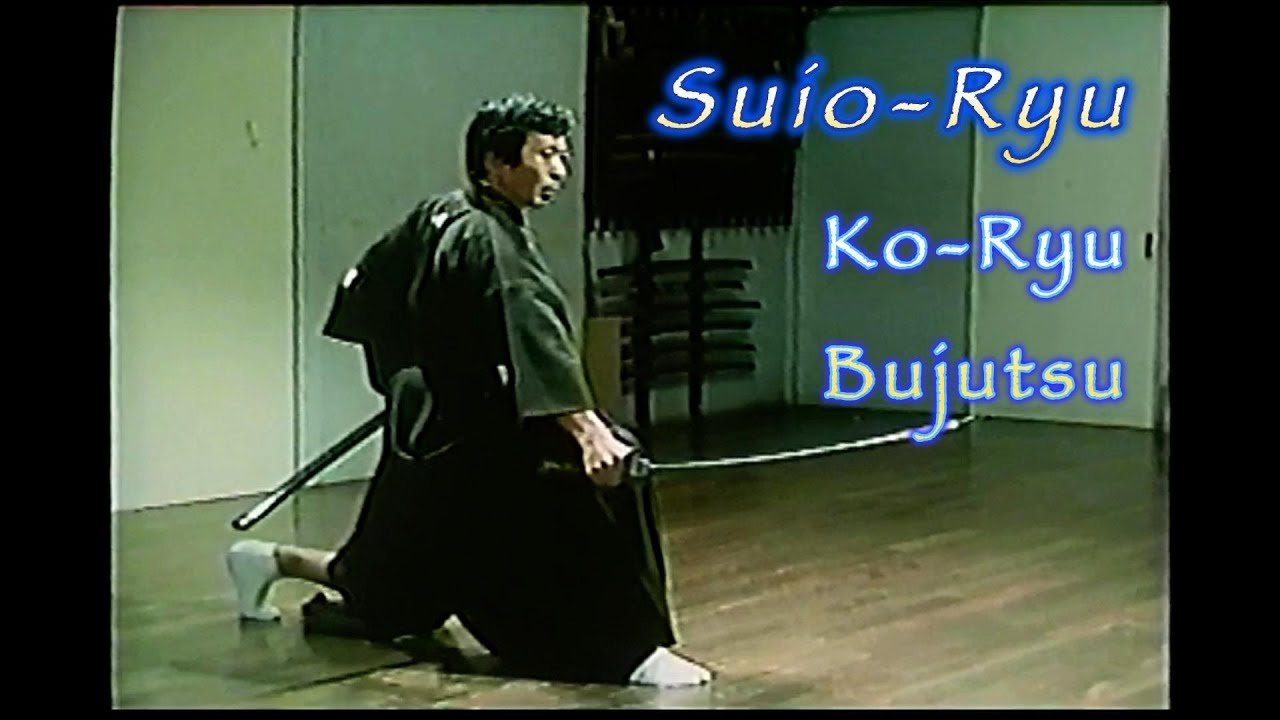 suio ryu style